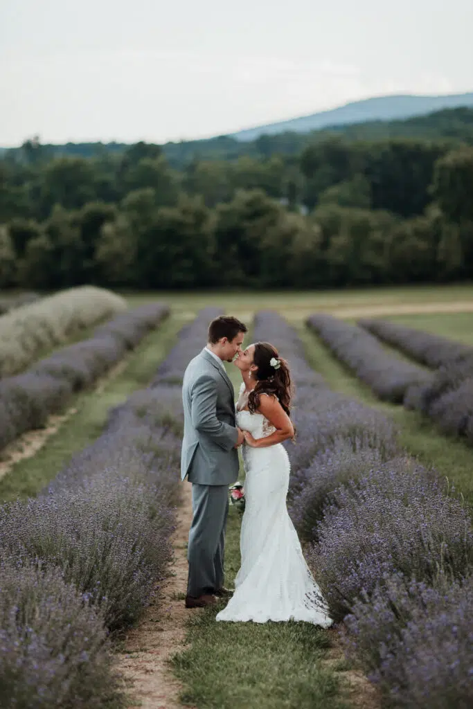 A wife and groom kissing in a Napa Valley field.
